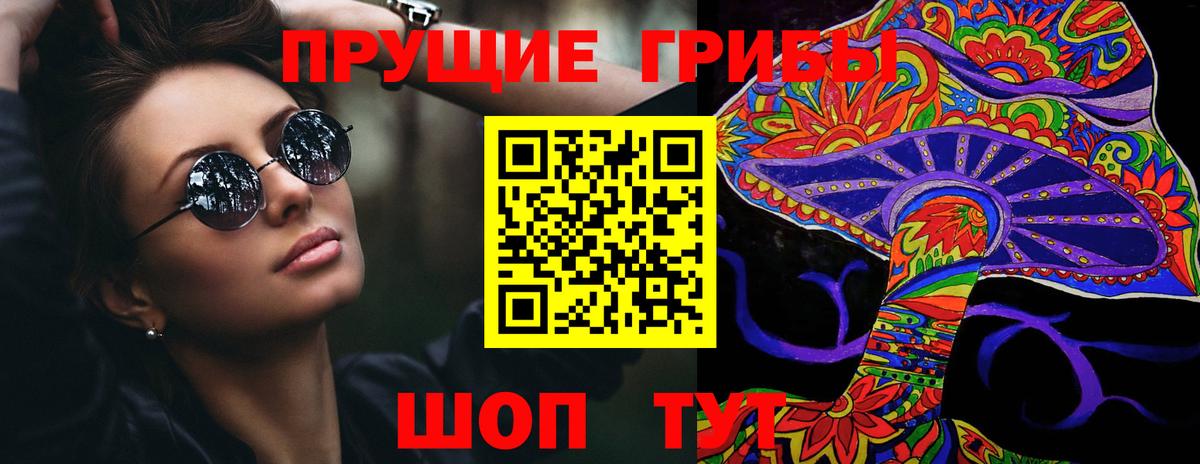 Псилоцибиновые грибы Psilocybine cubensis Реж